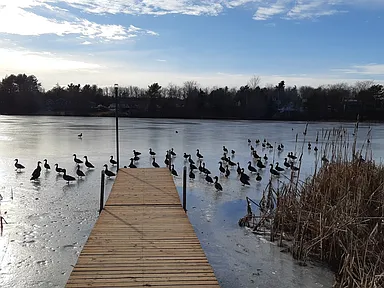 The Duck Chalet photo 2