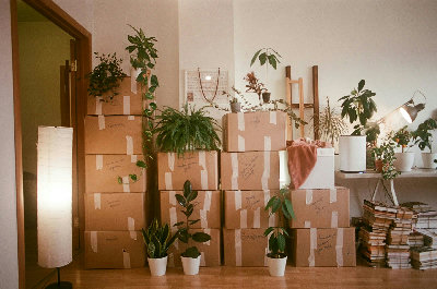 “If I Could Do It Again”: What People Really Say After Moving
