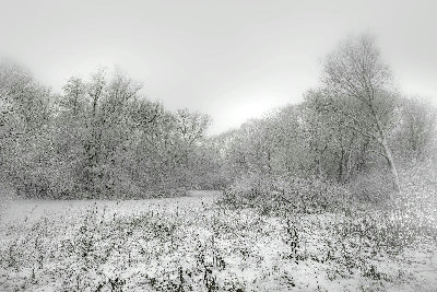 Why Does Nova Scotia “Shut Down” for Snow?