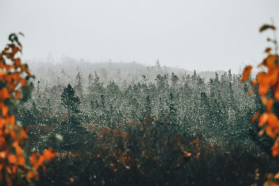 What Your Visit to Nova Scotia Won't Tell You