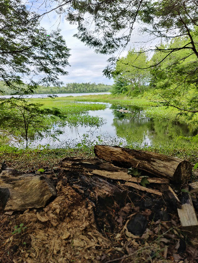 Lake vs. Ocean: What Nobody Tells You Before You Buy in Nova Scotia