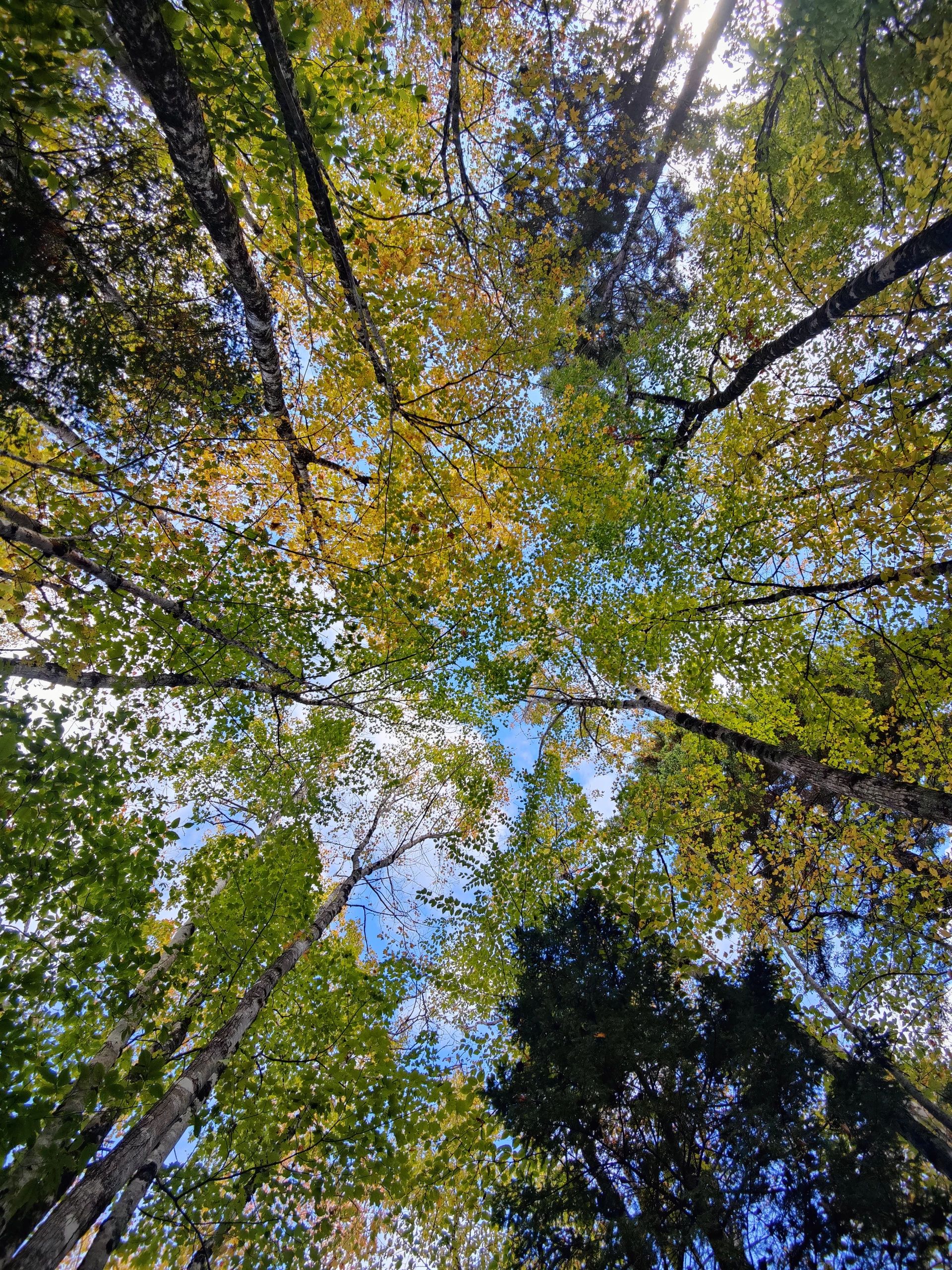 Nova Scotia Stereotypes That Turned Out to Be True