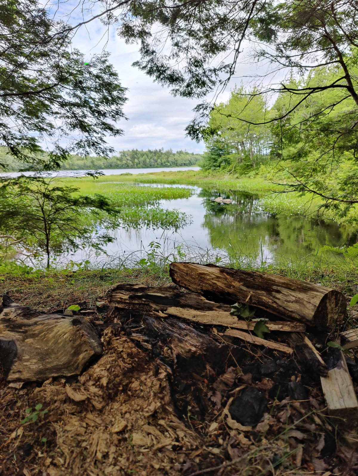 Lake vs. Ocean: What Nobody Tells You Before You Buy in Nova Scotia